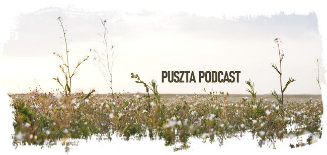 A virágos Puszta